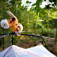 #��������#  �����죬����С¿ȥ����