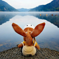 #��������#  С¿����Ц���