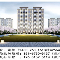 ������ʢ���Ƹ�������ʵ����ô��?������ʢ���Ƹ��ɲ�������