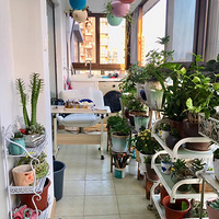 ��ɹɹ�Ҽ���̨���ҵĻ������硣