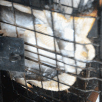 �����ƽʱҪȥ�򿨵ĵ꣬��������������������ˣ�