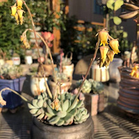 ��ɹɹ�Ҽ���̨���Ҽҵ���̨��ϲ��