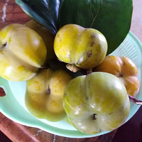 ���ݼҵĹ�����˶������???