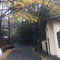 �ٰ�����