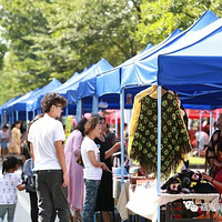 �������ղء�С�¼��������Ϻ������Ļ��ڣ��պ���ݹ��ԣ�