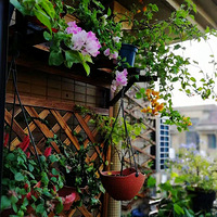 ��ɹɹ�Ҽ���̨����ݵĻ�԰