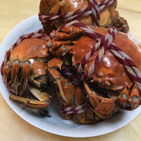 ���ʼ����վ�����û����ס����ֻҪ����ѹ��