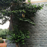 ������Էð�̣����ӱ�����ҽ