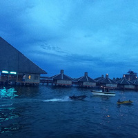 �����ɱ��Ǵ󺣱��ϳԷ�