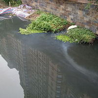 ��������ˮ�ŷţ���Ҫ��������ɣ�