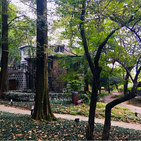 ����ȥ����Ī��ɽ���о�������