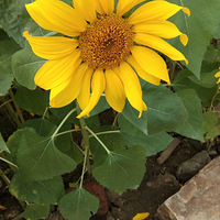 ���˼γ��̶�Ҳ�л����ˣ���ҿ���ȥ����