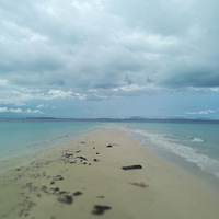 �������������