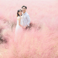 #����# ���ǵĳ�������Ȼϵ��ɴ�գ��飩