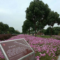 С�����棬��Ķ����