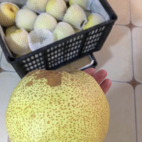 ����࣬�ʺ�һ���ļ�����ʳ