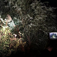 ֱ���ֳ���������������һ�׸ߴ������ѣ�