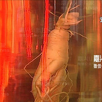 ��Ѫ���ѵ���������ű���Ʒ����������Ʒ+���ӹ�+������+�в�