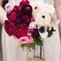 ѡ���＾����������ɫ�����������񻨶�һ����