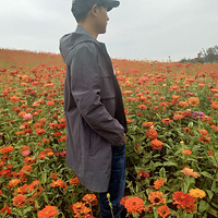 ܽ��Է�Ե�ɭ�ֹ�԰����ȥ��