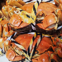 ȥ�����κ��Դ�բз��