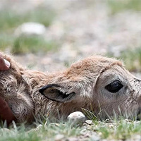 ���й�Ů����ӡ�ȱ��Ѻ�����ѳ����ˣ���ô���£�!