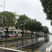 �����׸�Υ�������߽�ֹ����ץ��ϵͳ��ʽ���ߣ�