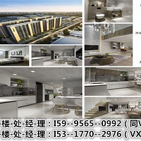 ���Ϻ������͡�ƽ���ļ�����������������������