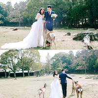 ���۹���Ӱ�ж���������������ѳ�����ӭС���Χ�ۣ�