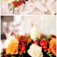 ��ȥ������Ϊ�⼸���ﶬ���������� x ��ɴ�����call