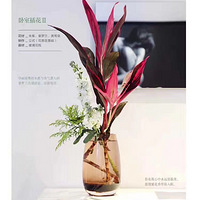 ���˲廭������ѵ 0������ѵ�廨 �廨������ѵ