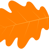 ǿִ̳ǣ˫½̽10