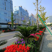 �����˺������ܱߵ�·Ư���˺ܶ�