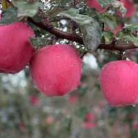 ����ƽ��ƻ������԰ֱ�������������޹�������һ���������������