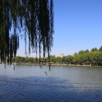 �������������ʣ������÷�⡭��