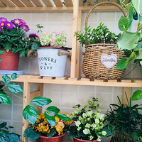 �����ܰ����Ľ��£���������Ů��