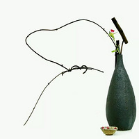 ����®������ѧ֮�廨���ܣ������׿�����ϯ����ʦ��