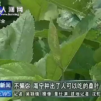 ����ũ����Щ������������ ���������Ǯ����������800��