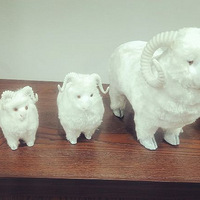 �������������Ⱑ~\(�R���Q)/~