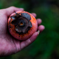 Ұ��������Ӻ�