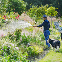 ��нС����40������ݻ�����Լ�����һ��3000ƽ�Ļ�԰