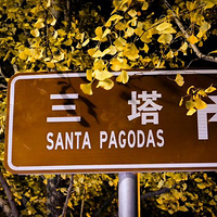 ��ɹ�ﾰ���������������ܴ��������һ��·