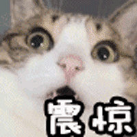 ʹ�ģ�����20����Ů����������ֲ���ҽ������:һ���Ӷ��β���