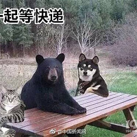 �������ʵ�����һ