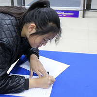 Դ������˫ʮ����Ļʽ