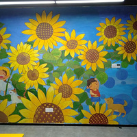 ���ܺ������ٶ�Ӣ����ѵ����