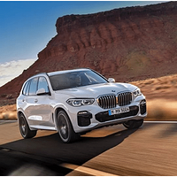 ȫ ȫBMW X5