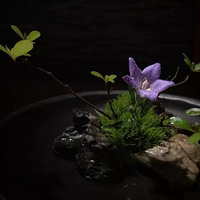 �����׿�����ϯ����ʦ��