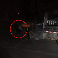 ��Ů������� ���Ź���ͽ������ʮ��Сʱ �Һ�����������