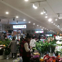 ������������Ļ���������